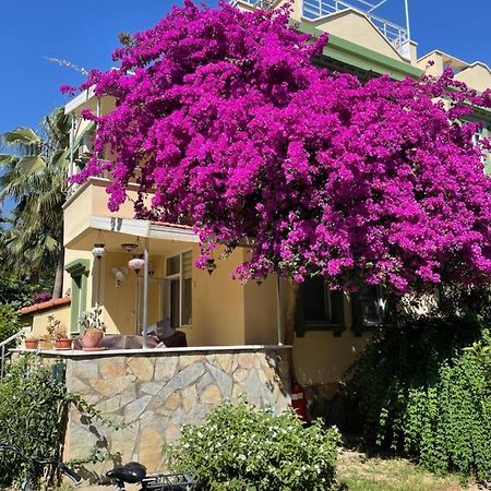 Villa Konak Club 阿拉尼亚 外观 照片