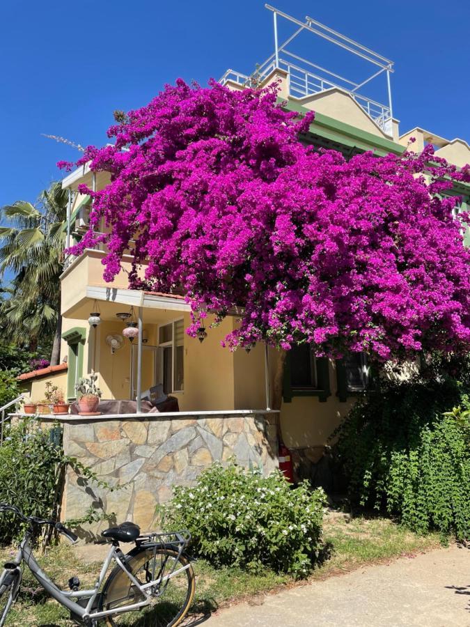 Villa Konak Club 阿拉尼亚 外观 照片